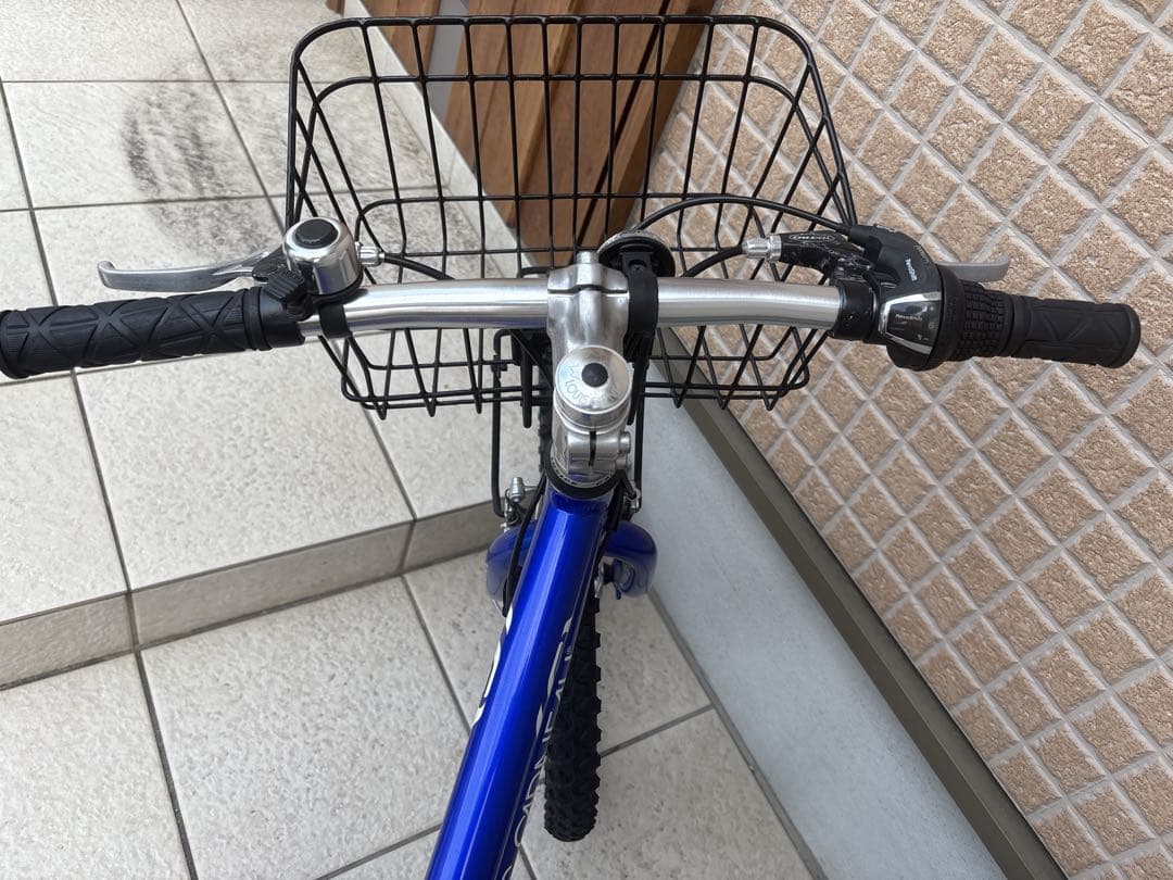 LOUIS GARNEAU J206 子供用マウンテンバイク 20インチ