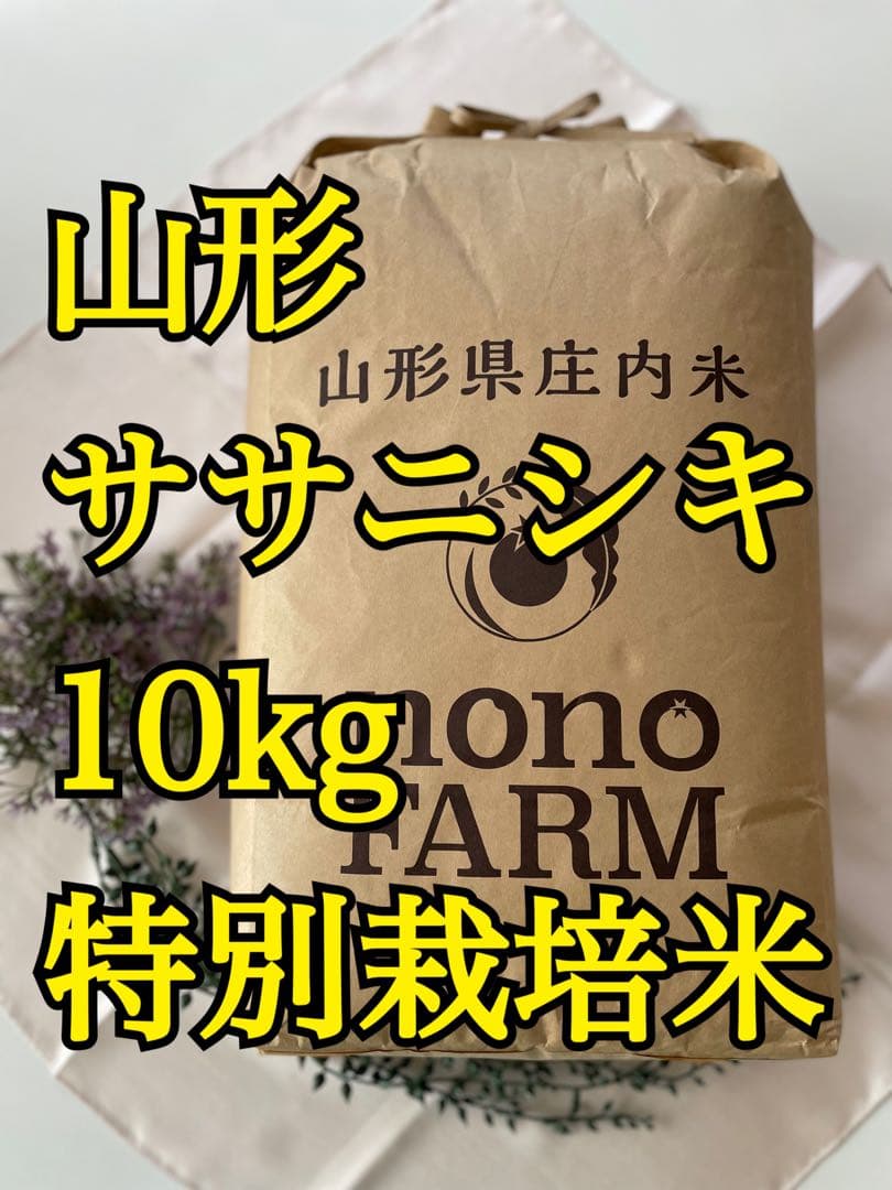 ササニシキ　10kg 令和7年　山形　特別栽培米