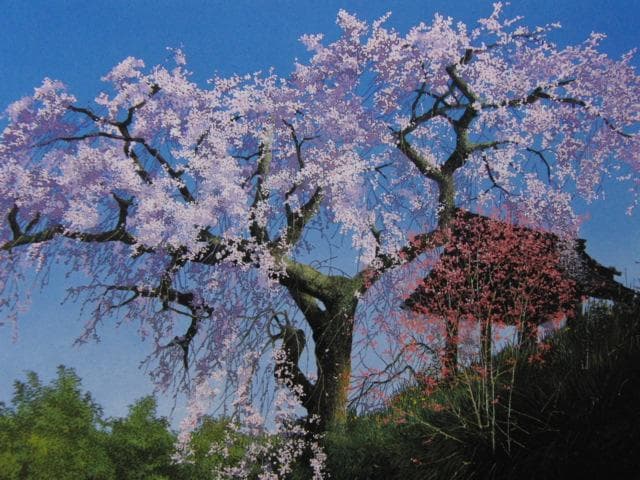 田中芳照、春鐘、希少な画集より、新品高級額、額装付、状態良好