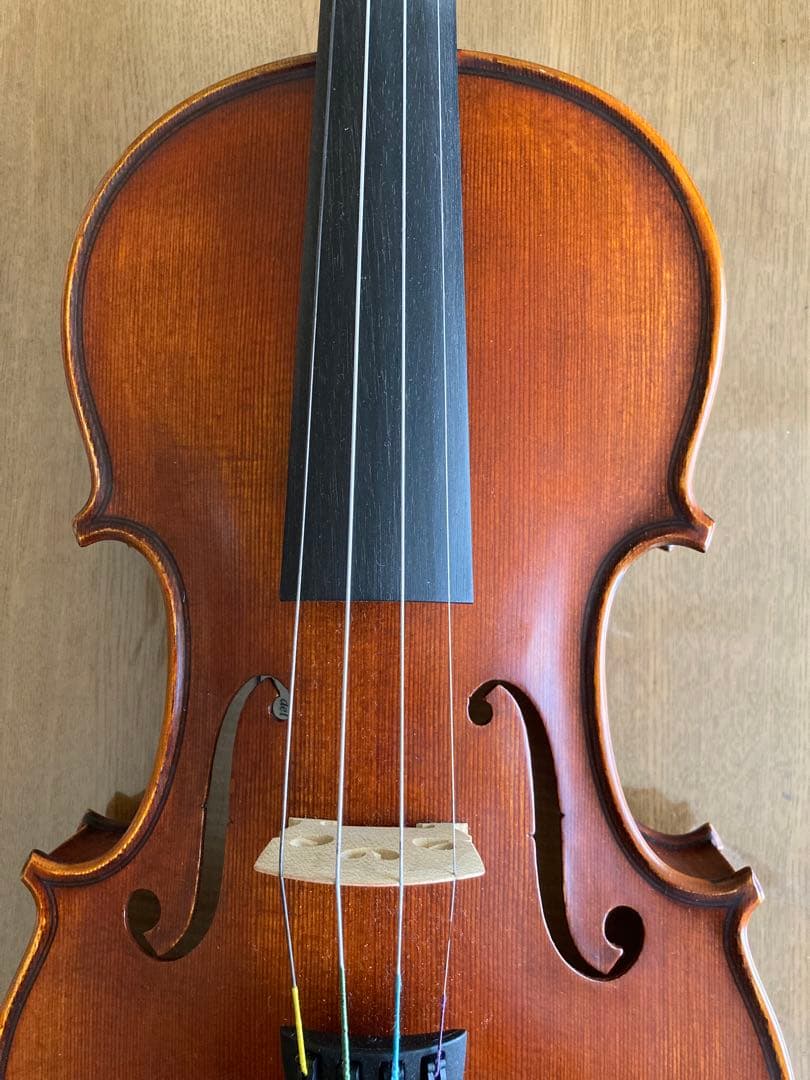 Gliga CRISTIAN GAMA バイオリン 4/4 1枚板