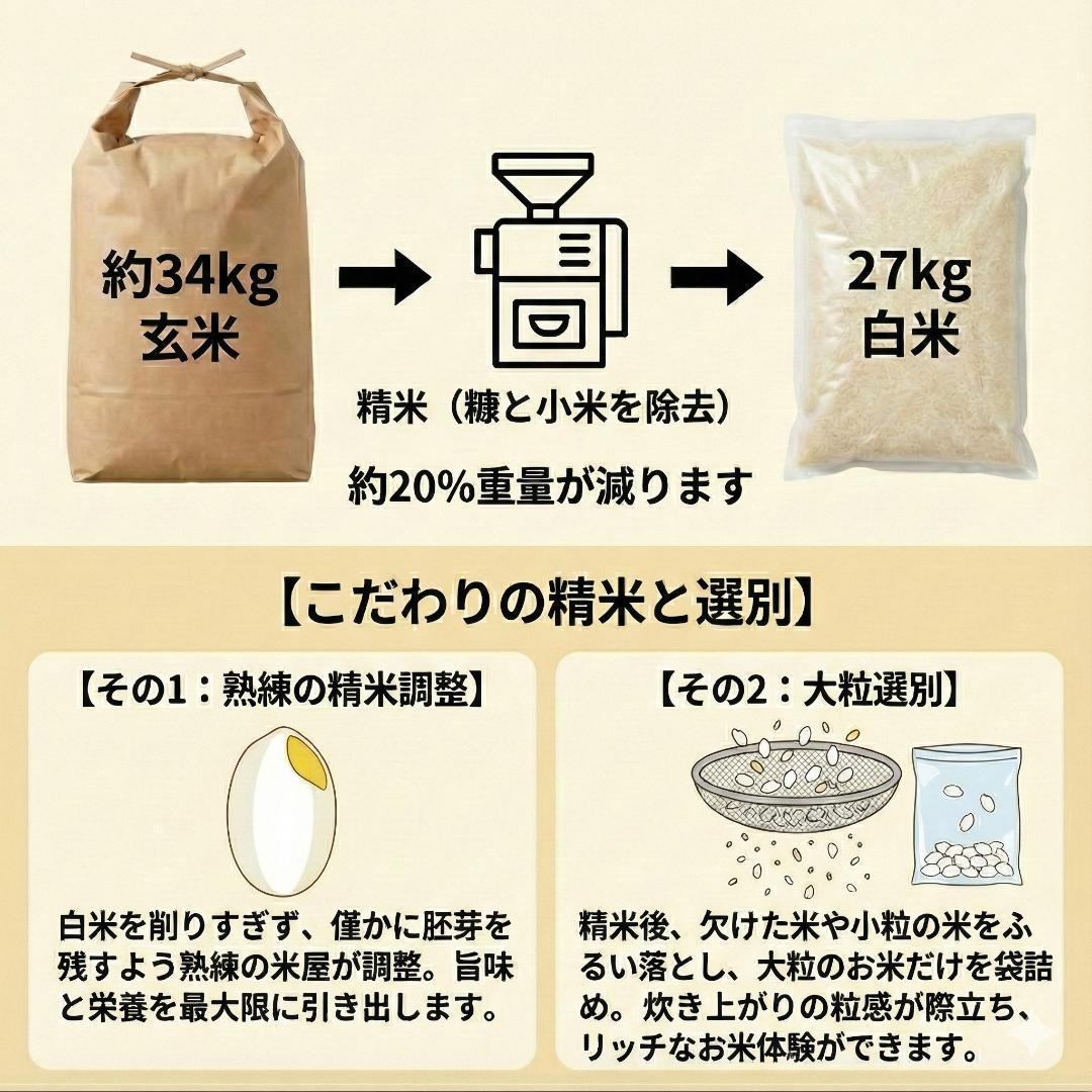 令和7年度 埼玉県産 彩のきずな 白米 10kg(5kg2袋) 米袋でお届け