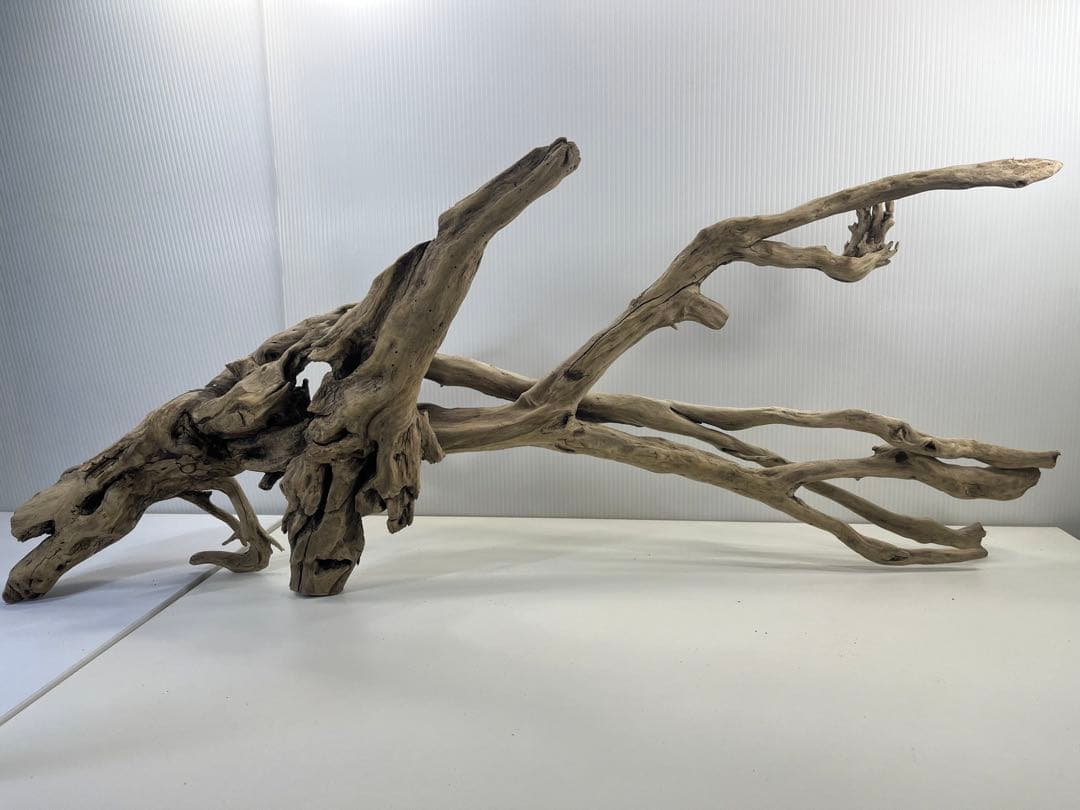 V24特大流木 アク抜き済み流木 爬虫類シェルター 登り木 インテリア 生け花