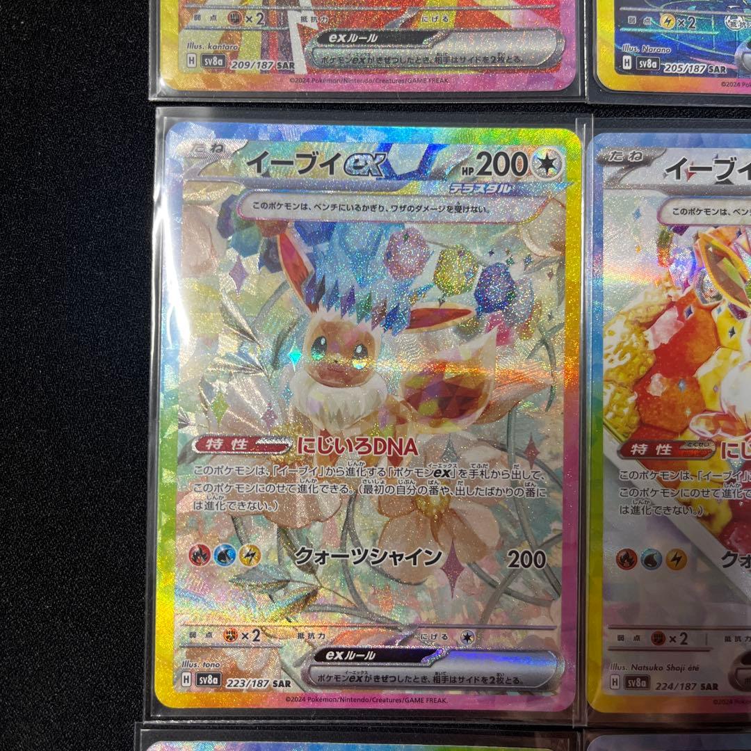 テラスタルフェス　ブイズSAR10枚