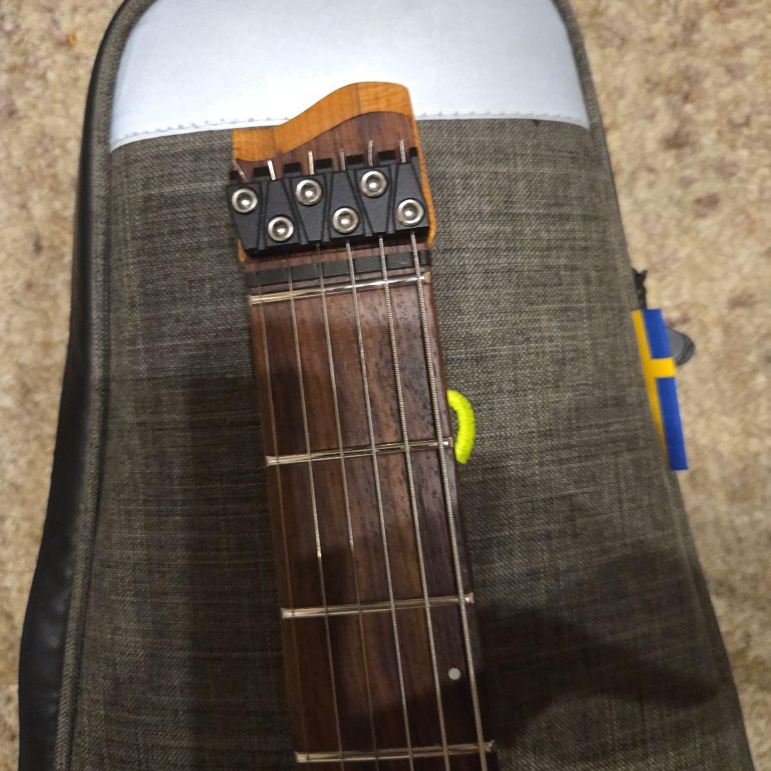 ギター strandbergBodenStandard NX6