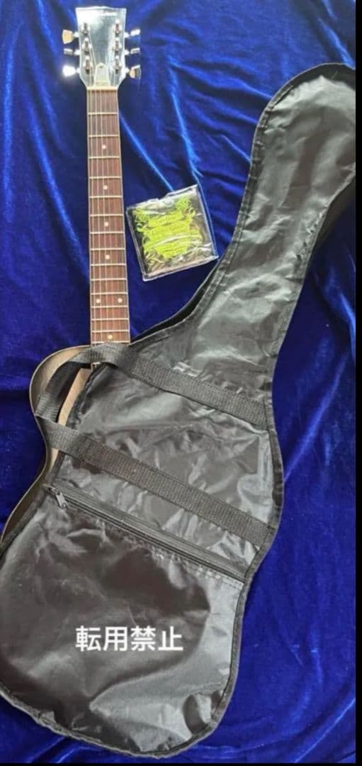 【PASSION】レスポール レコーディング モデル