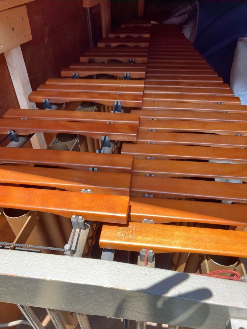 斉藤　マリンバ