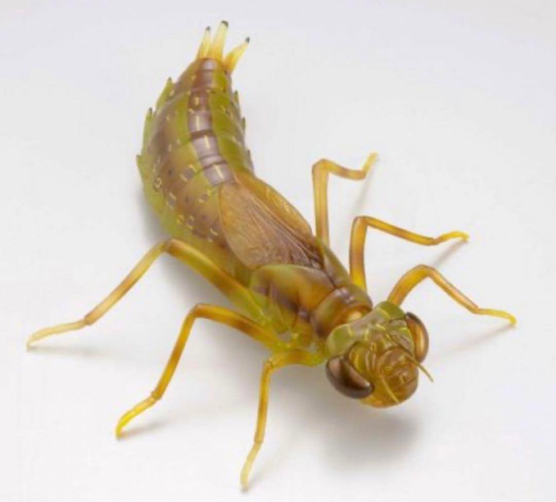 海洋堂 リボジオ　タガメ 未開封