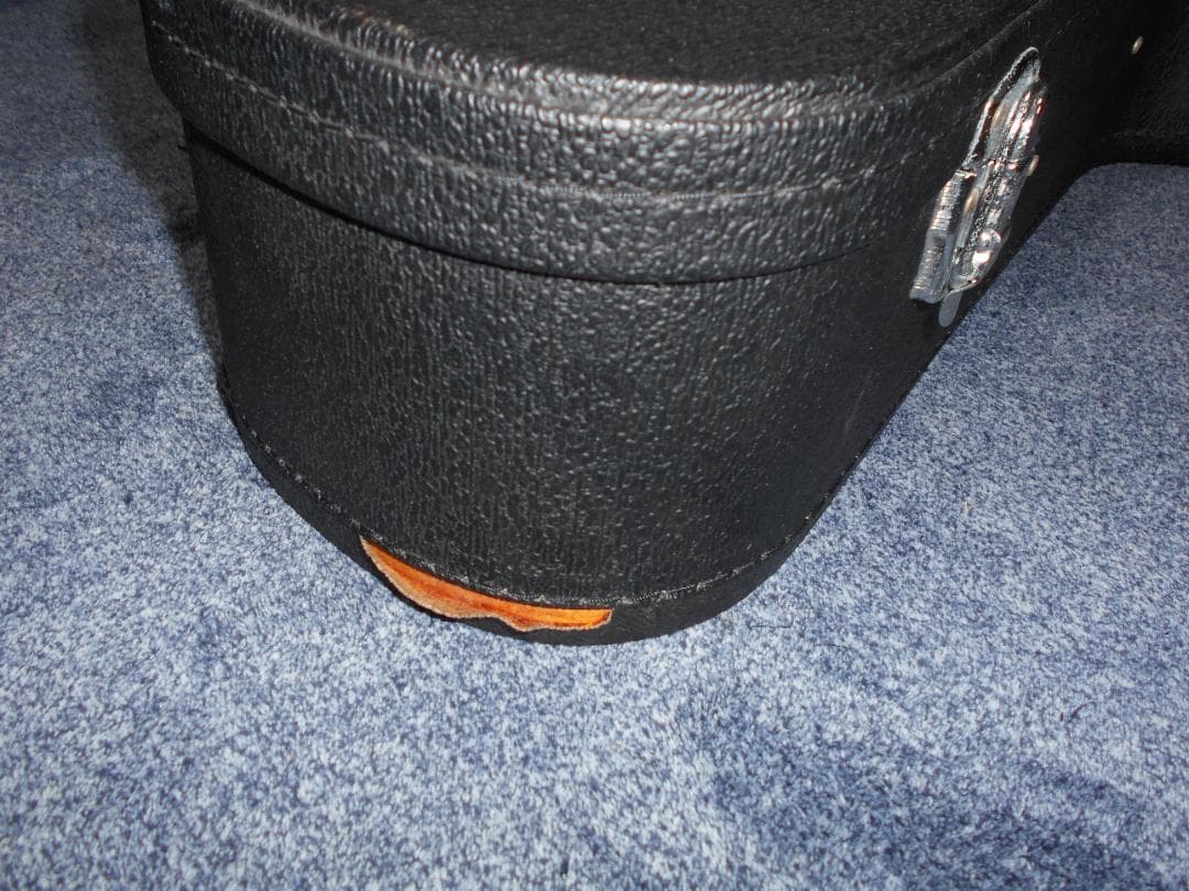 ギター PRS SE A15AL-Alex Lifeson Thinline