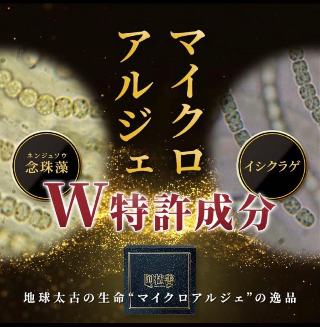 【なお】マイクロアルジェ　阿拉善二箱【未開封】