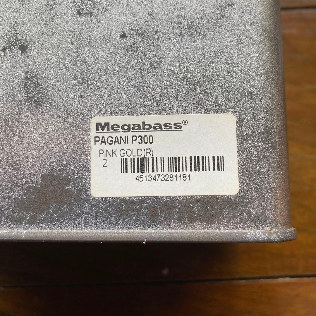 リール PAGANI P300