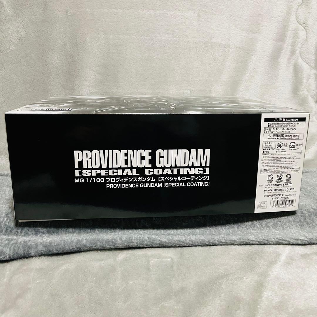 【新品未開封】1/100 MG ZGMF-X13A プロヴィデンスガンダム