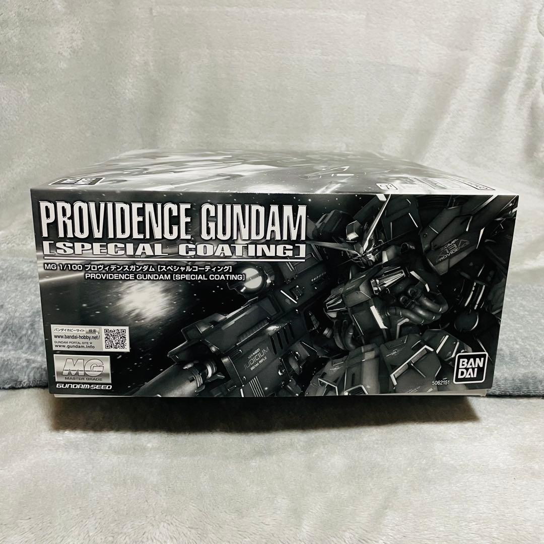 【新品未開封】1/100 MG ZGMF-X13A プロヴィデンスガンダム