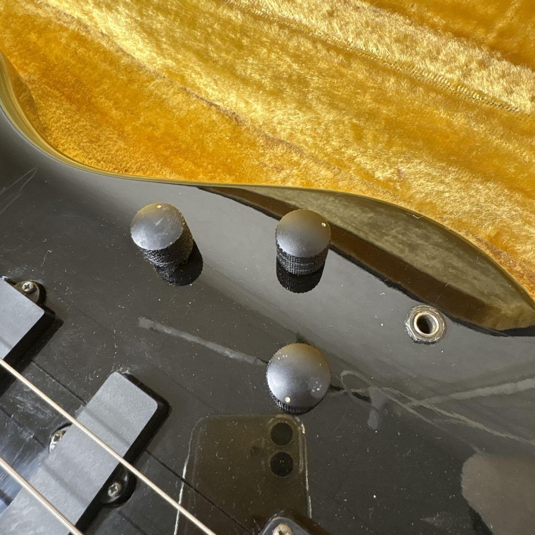 フジゲン　anboyベース