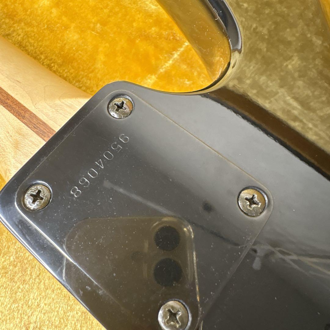 フジゲン　anboyベース