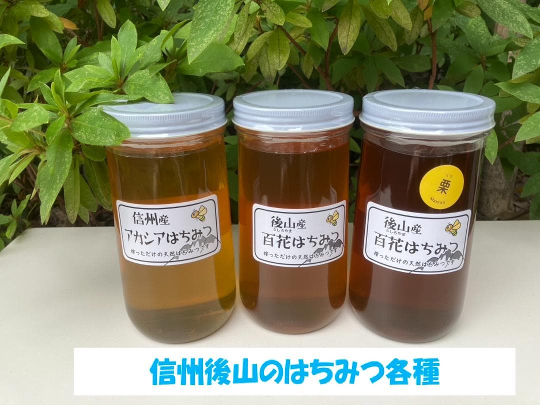 百花蜜 1000g 2本 長野県産 国産蜂蜜 はちみつ セイヨウミツバチ*