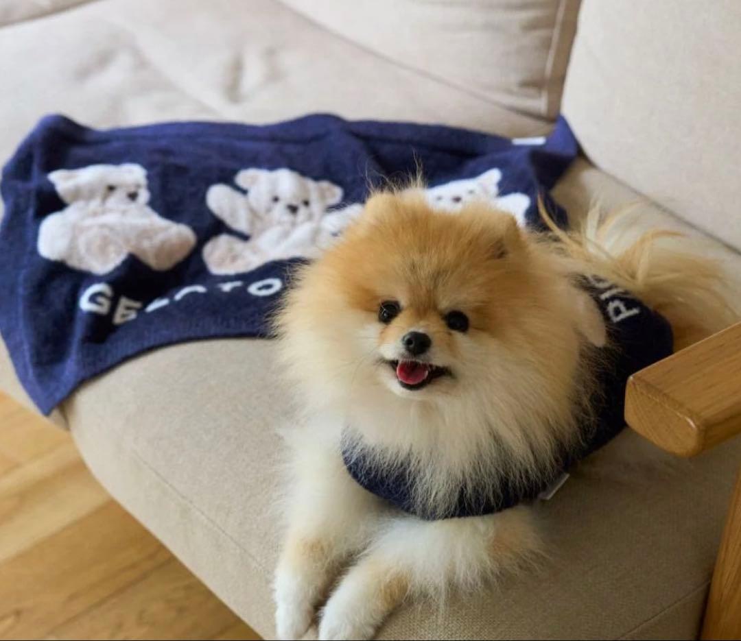 ジェラートピケ　ベア柄ジャガードノースリーブプルオーバー　ネイビーMサイズ