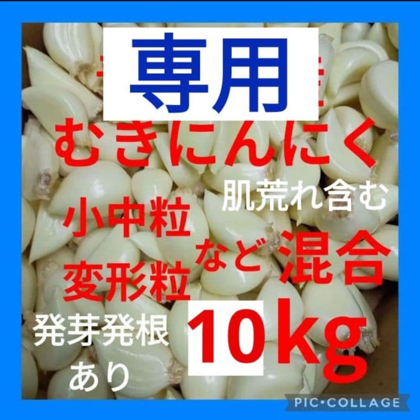 専用　青森県産むきにんにく 小中粒 変形粒 色々 10kg 発芽発根あり