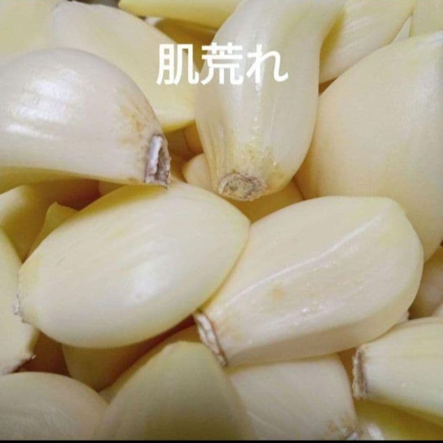 専用　青森県産むきにんにく 小中粒 変形粒 色々 10kg 発芽発根あり