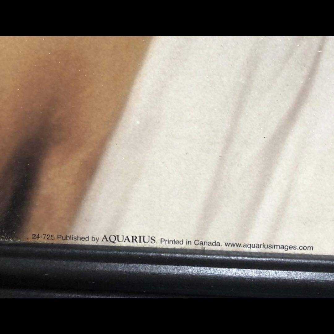 巨大ポスターアート　マリリン・モンロー　写真家　バーナード オブ ハリウッド撮影