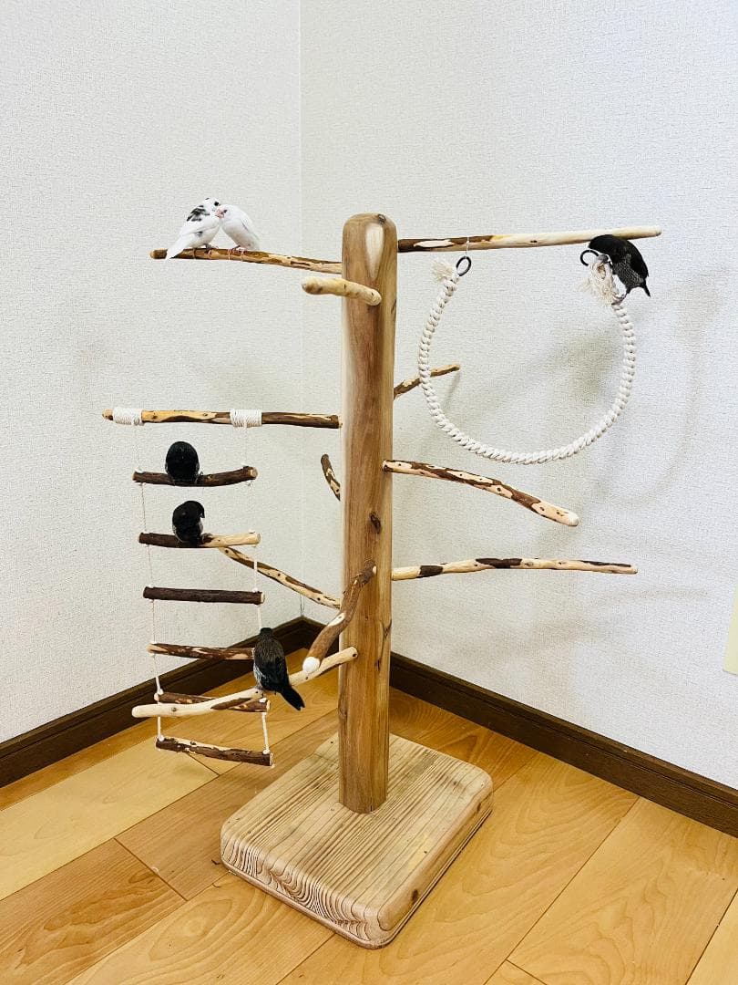 【小鳥用】ブランコ＆ハシゴ付　♬螺旋状 バードアスレチック