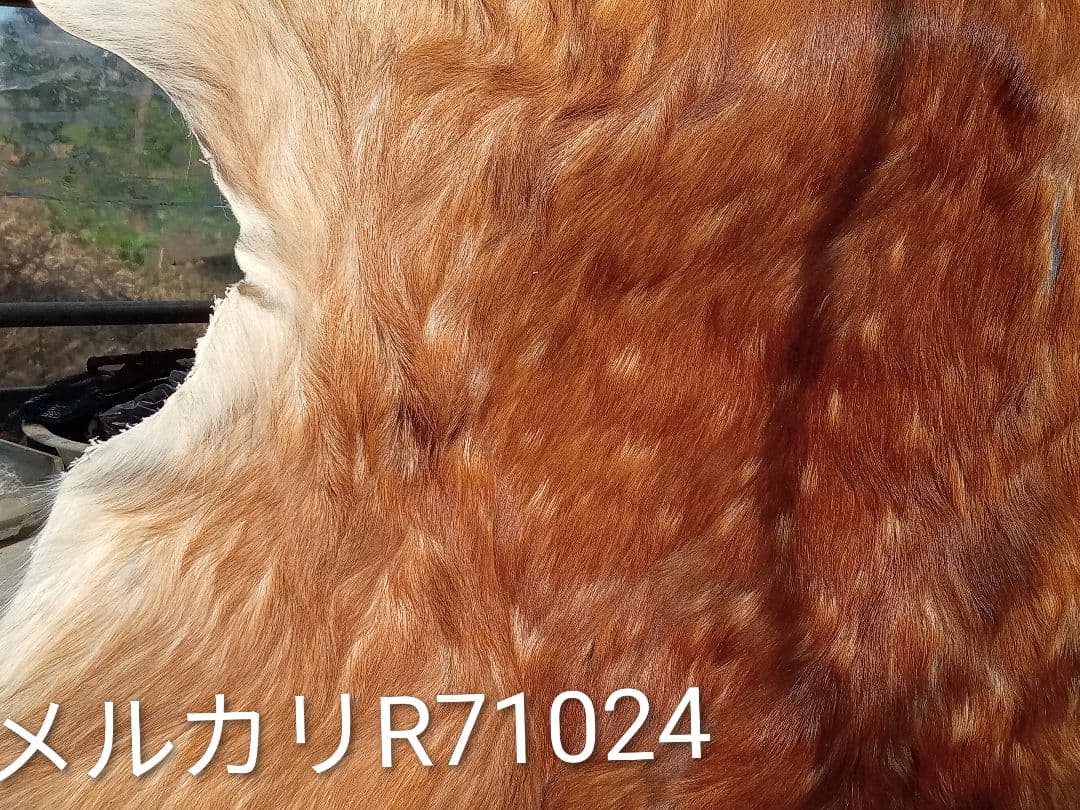 天然日本鹿夏毛ラグ　みみ付き