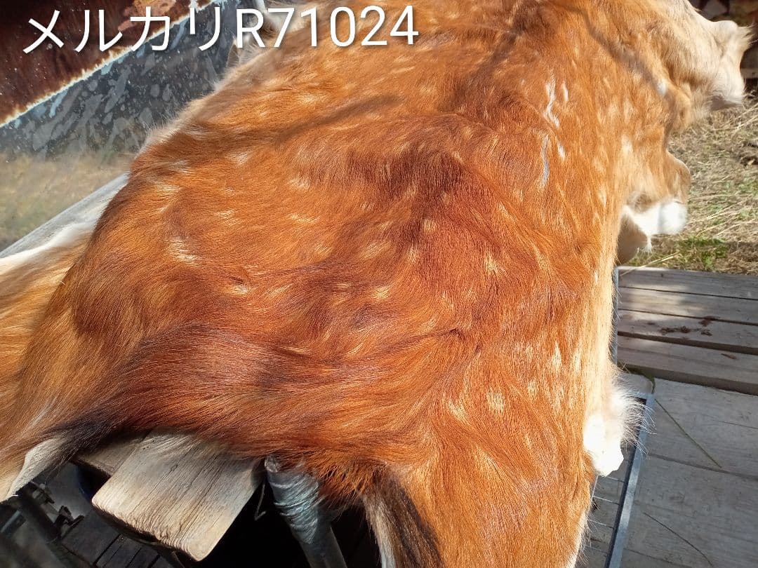 天然日本鹿夏毛ラグ　みみ付き