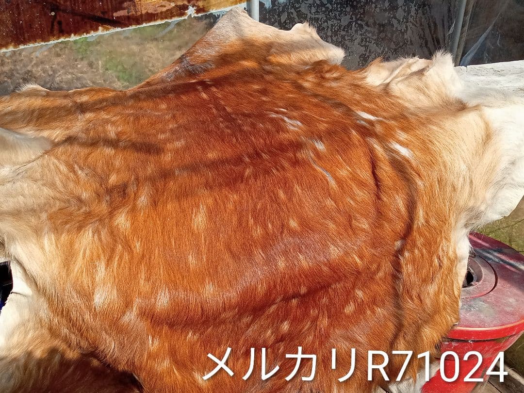 天然日本鹿夏毛ラグ　みみ付き