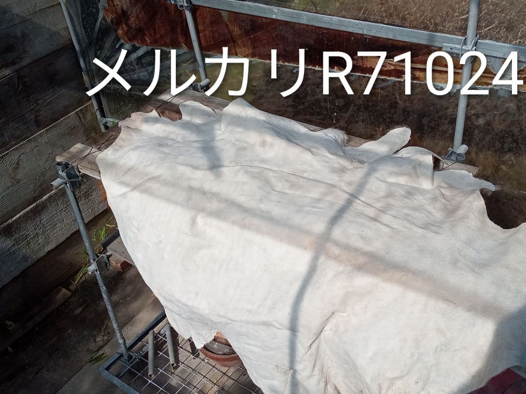 天然日本鹿夏毛ラグ　みみ付き