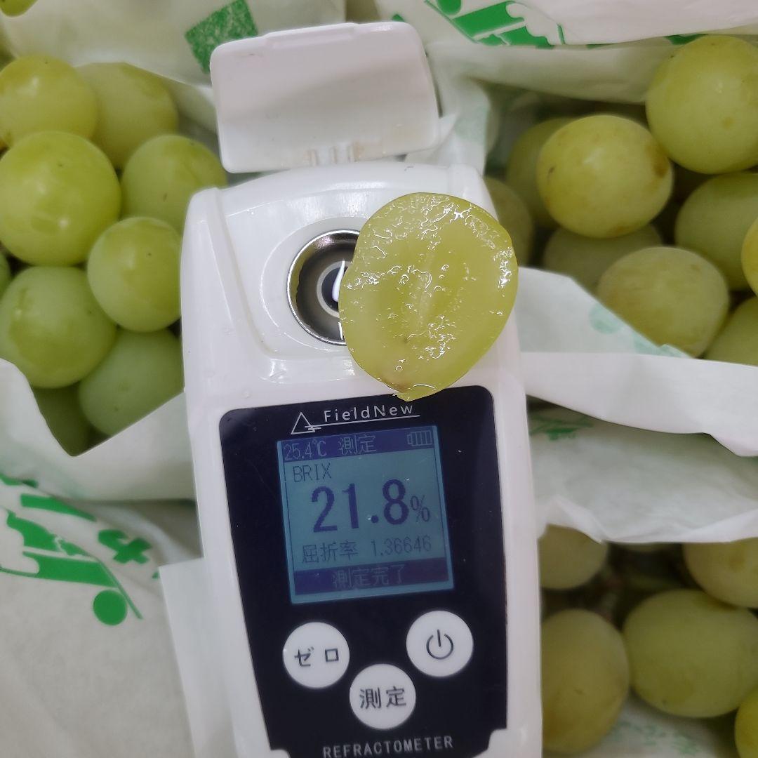 5️⃣ 山梨県産 シャインマスカット １２房 箱込み5.5キロ