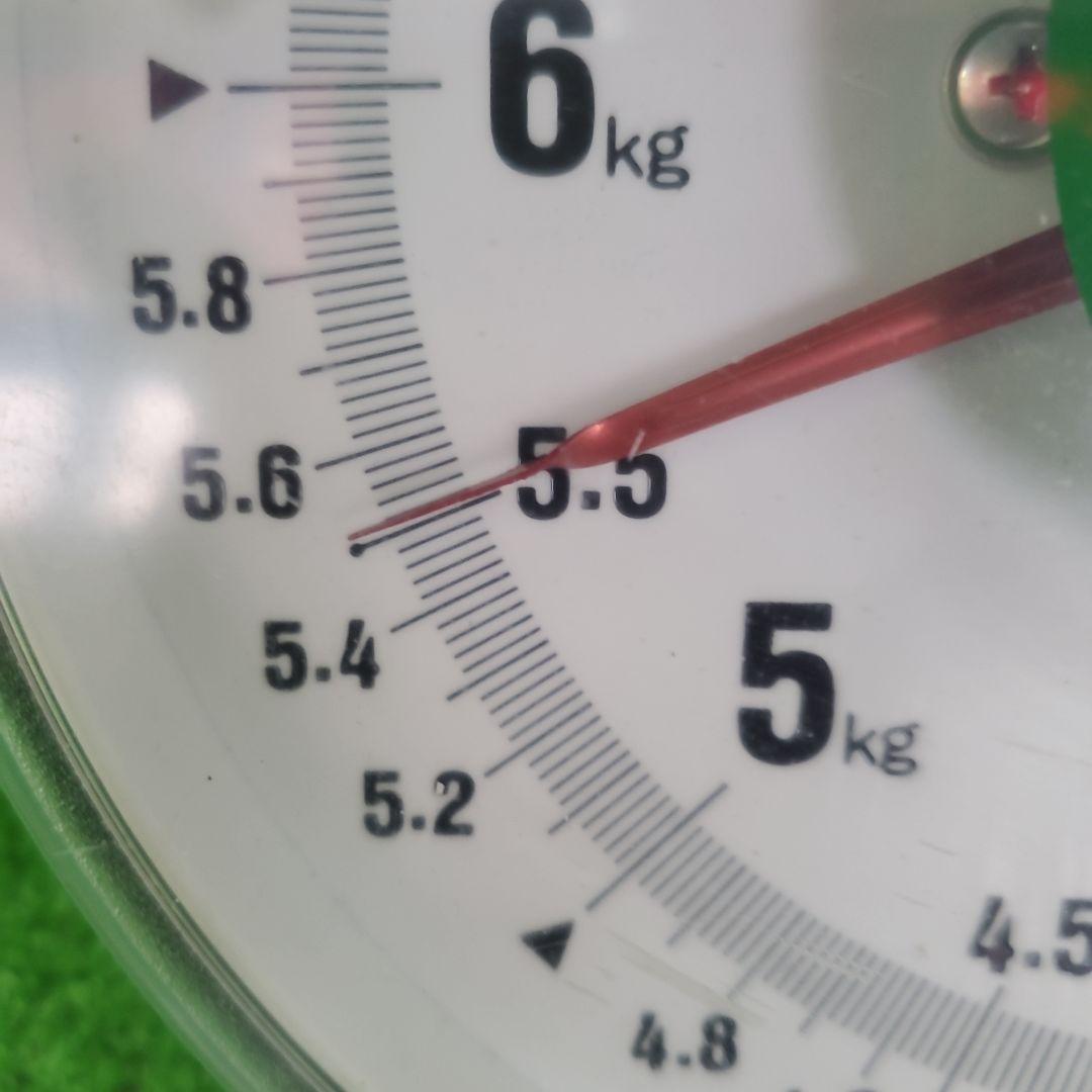 5️⃣ 山梨県産 シャインマスカット １２房 箱込み5.5キロ