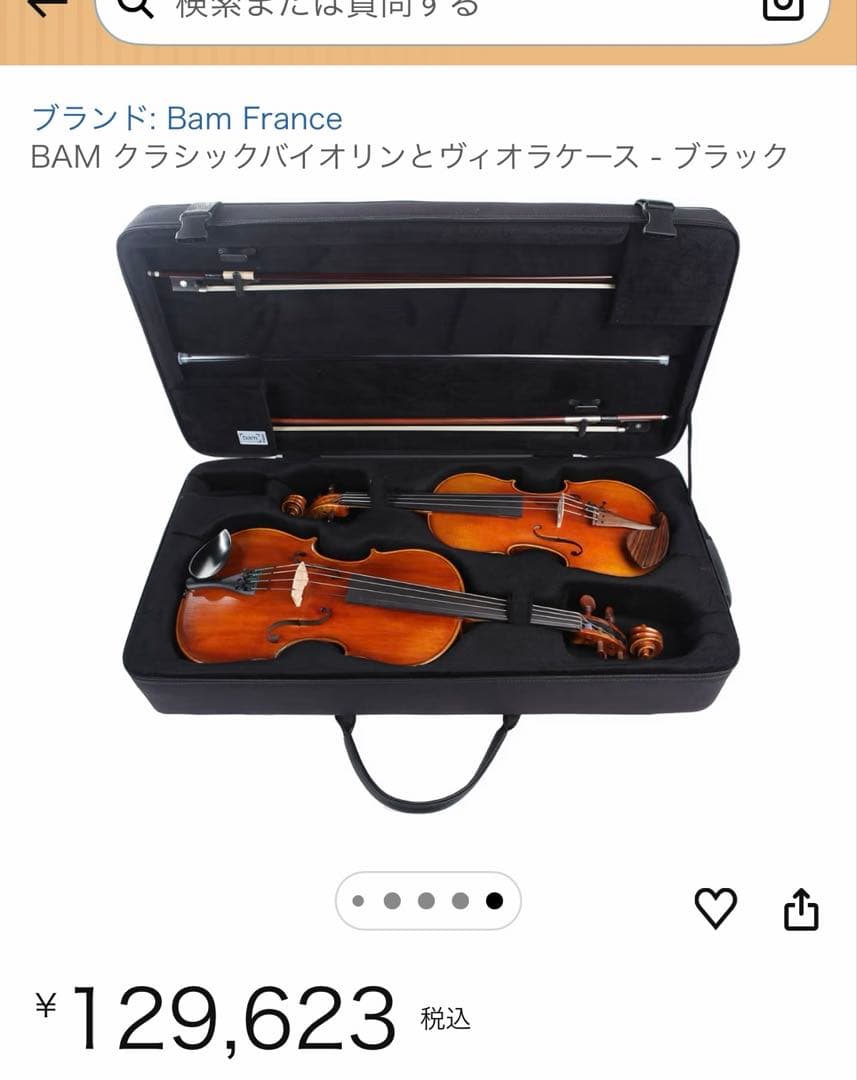 BAM ダブルケース　バイオリン　ビオラ　グリーン