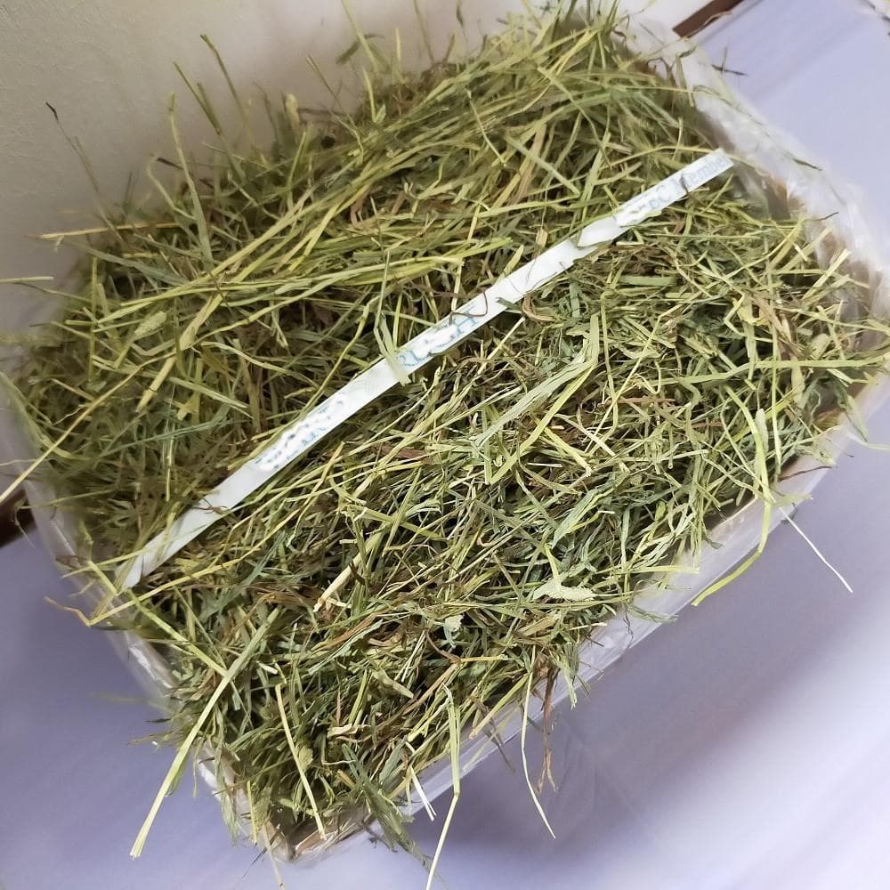 【11/30まで】US産 チモシー 50kg ２番刈り ソフトSプレミアム