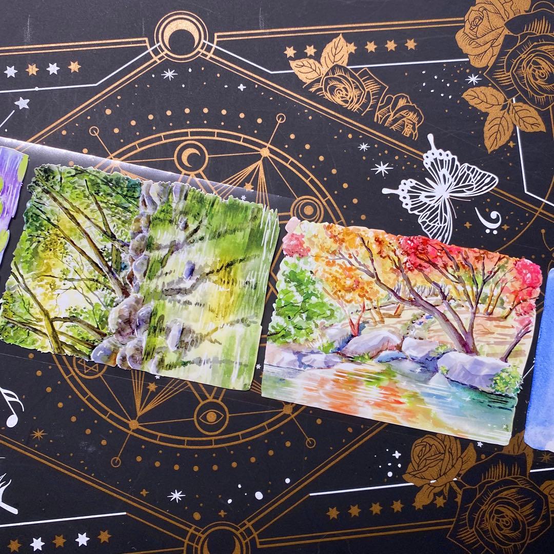 【9309】海外　マステ　中古巻　PETマスキングテープ　自然　背景系