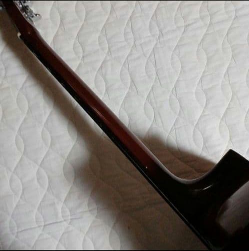 PHENIX アコースティックギター ドレッドノート　フェニックス