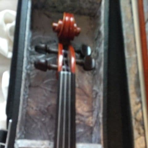 Pygmalius ピグマリウス バイオリン dv-120 Size4/4 　B