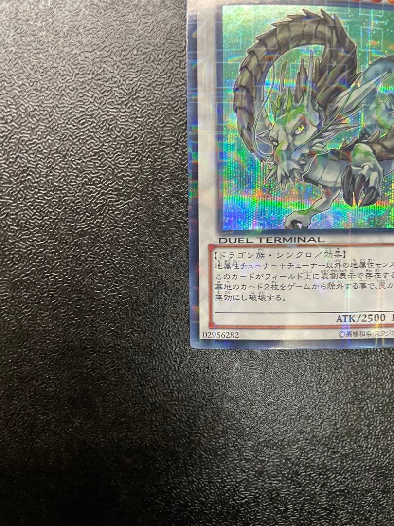 【貴重】 ナチュルパルキオン　dtc シークレット