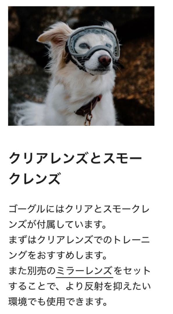 ALPHAICON アルファアイコン REXSPECS ドッグゴーグル　ブラック