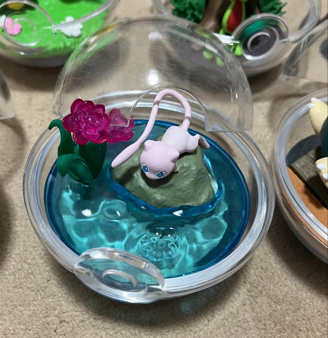 ポケモン　テラリウム