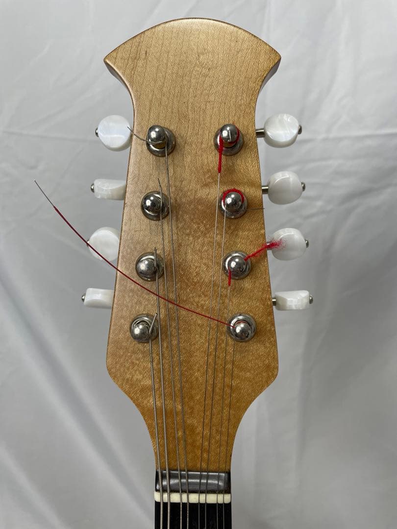 嶋田/エンジェルマンドリン モデル:BN