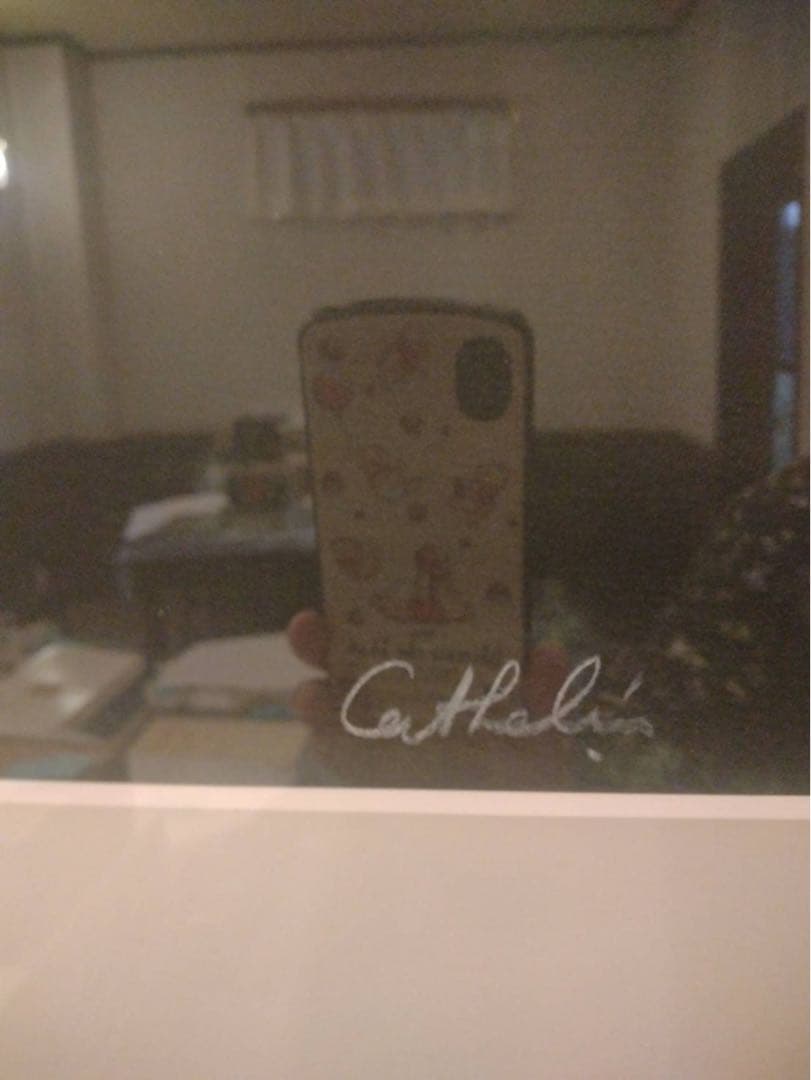 Bernard Cathelinリトグラフの版画作品