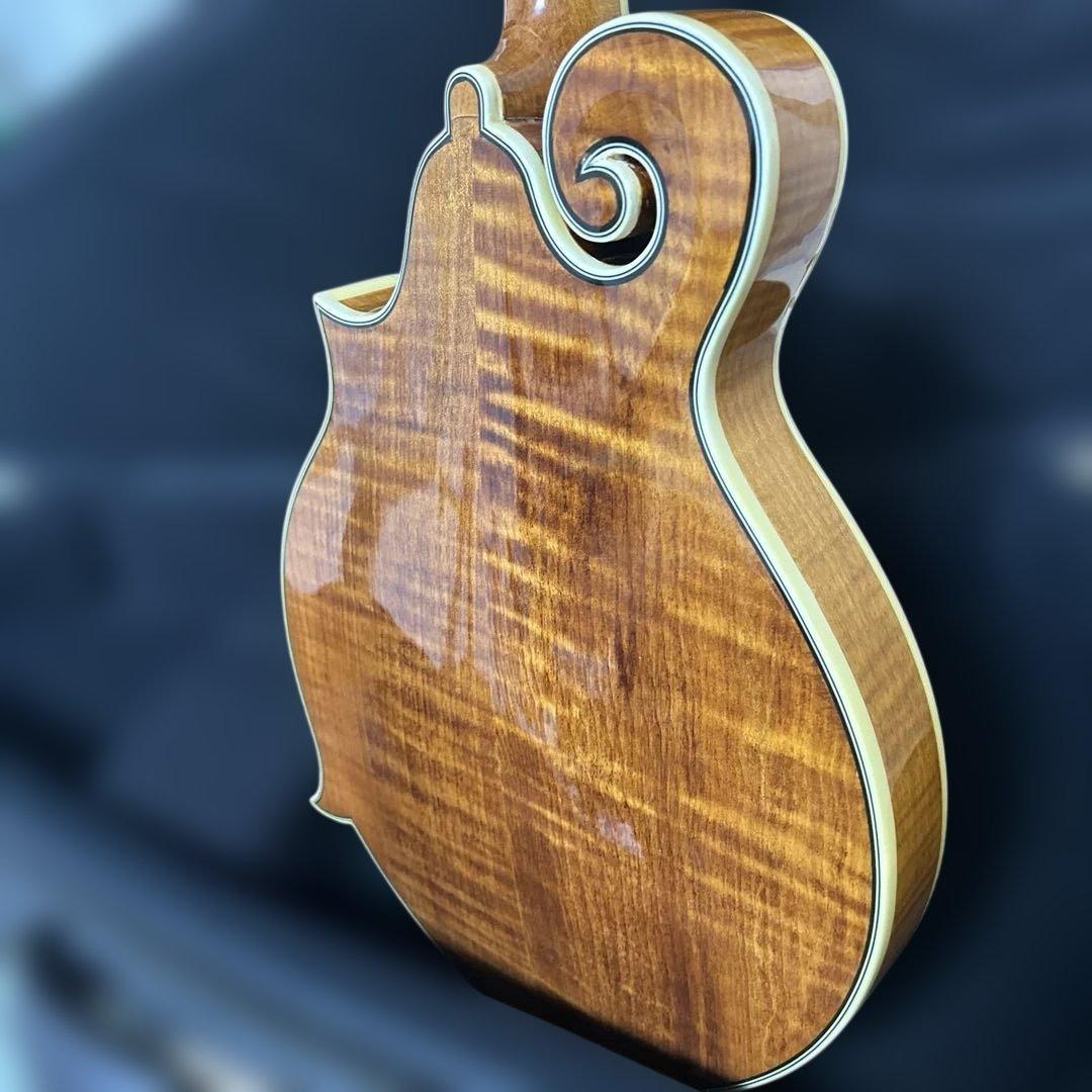 Rally ラリー マンドリン セミハードケース付き