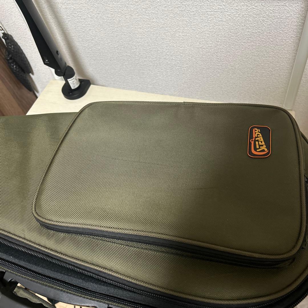 Rally ラリー マンドリン セミハードケース付き