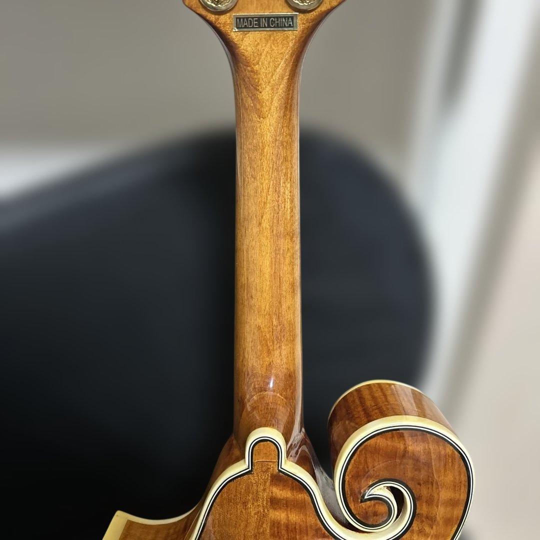 Rally ラリー マンドリン セミハードケース付き