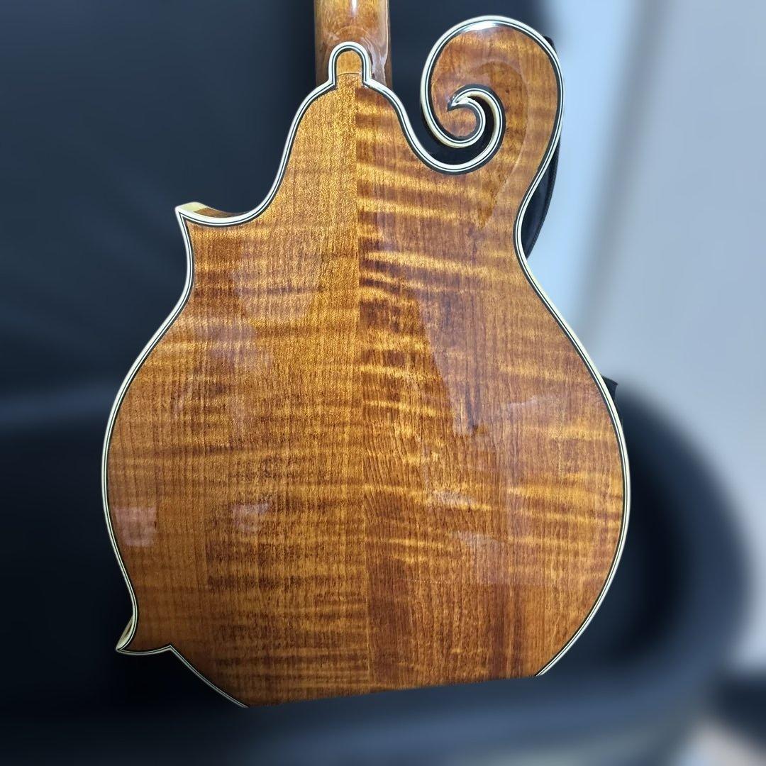 Rally ラリー マンドリン セミハードケース付き