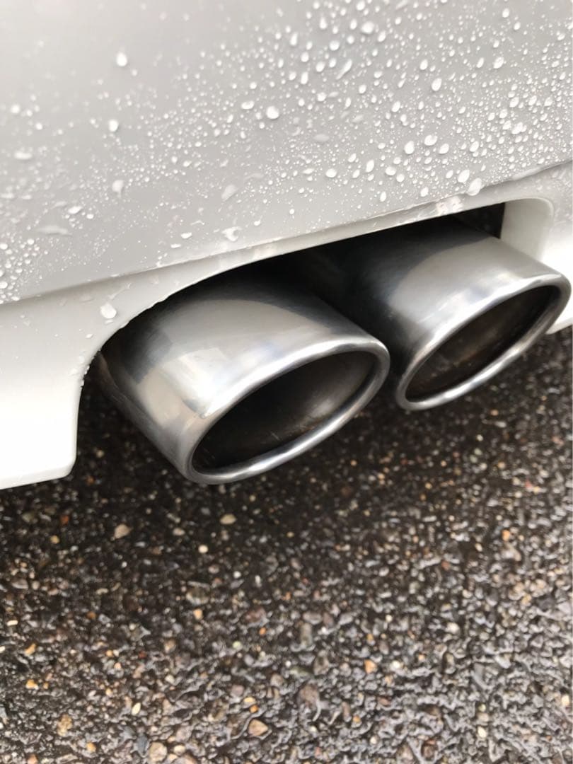 メッキモール 磨きパット 外車 専用 腐食取り 輝く 簡単 150枚 送料無料