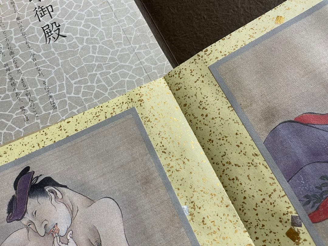 秘蔵画帖（四）圓山應擧 嵯峨御殿拾弐図