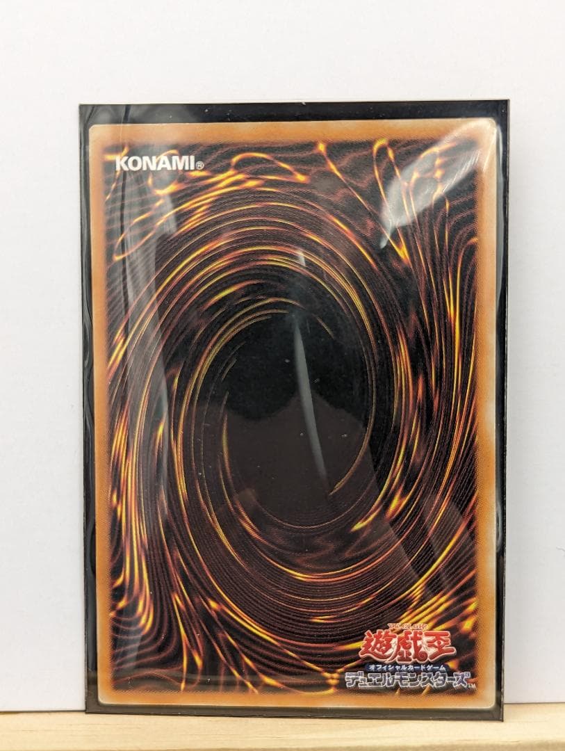 遊戯王 真紅眼の黒龍 レッドアイズ ブラックドラゴン レリーフ 301-056