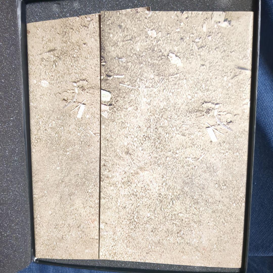 1/6 12インチ デルタフォース マークスマン タスクフォース