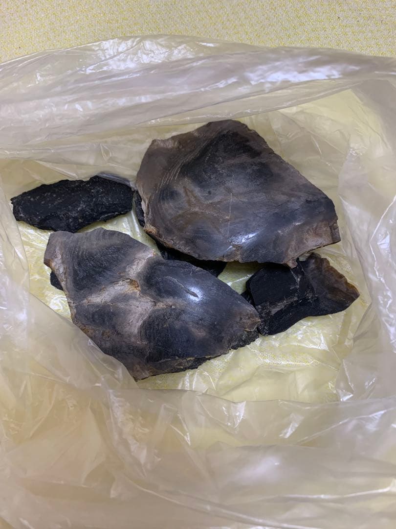 珪化石 木の化石 木化石 鑑賞置物 現状品 ジャンク品