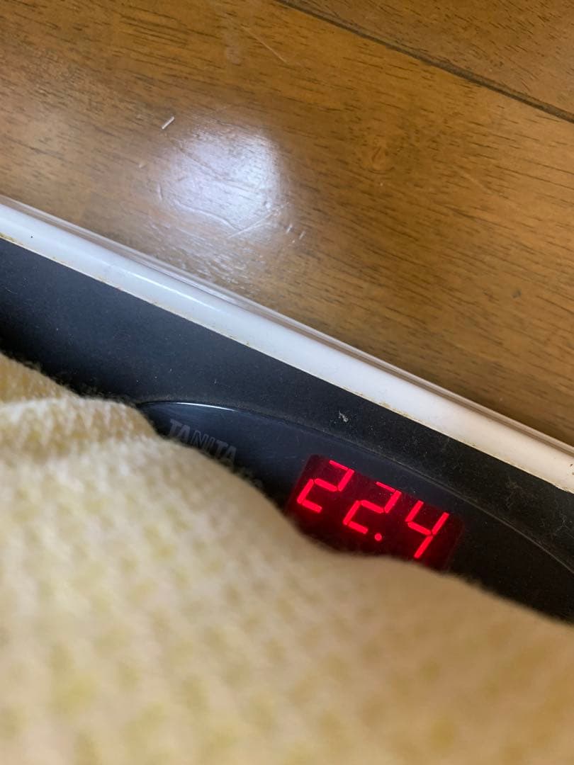 珪化石 木の化石 木化石 鑑賞置物 現状品 ジャンク品